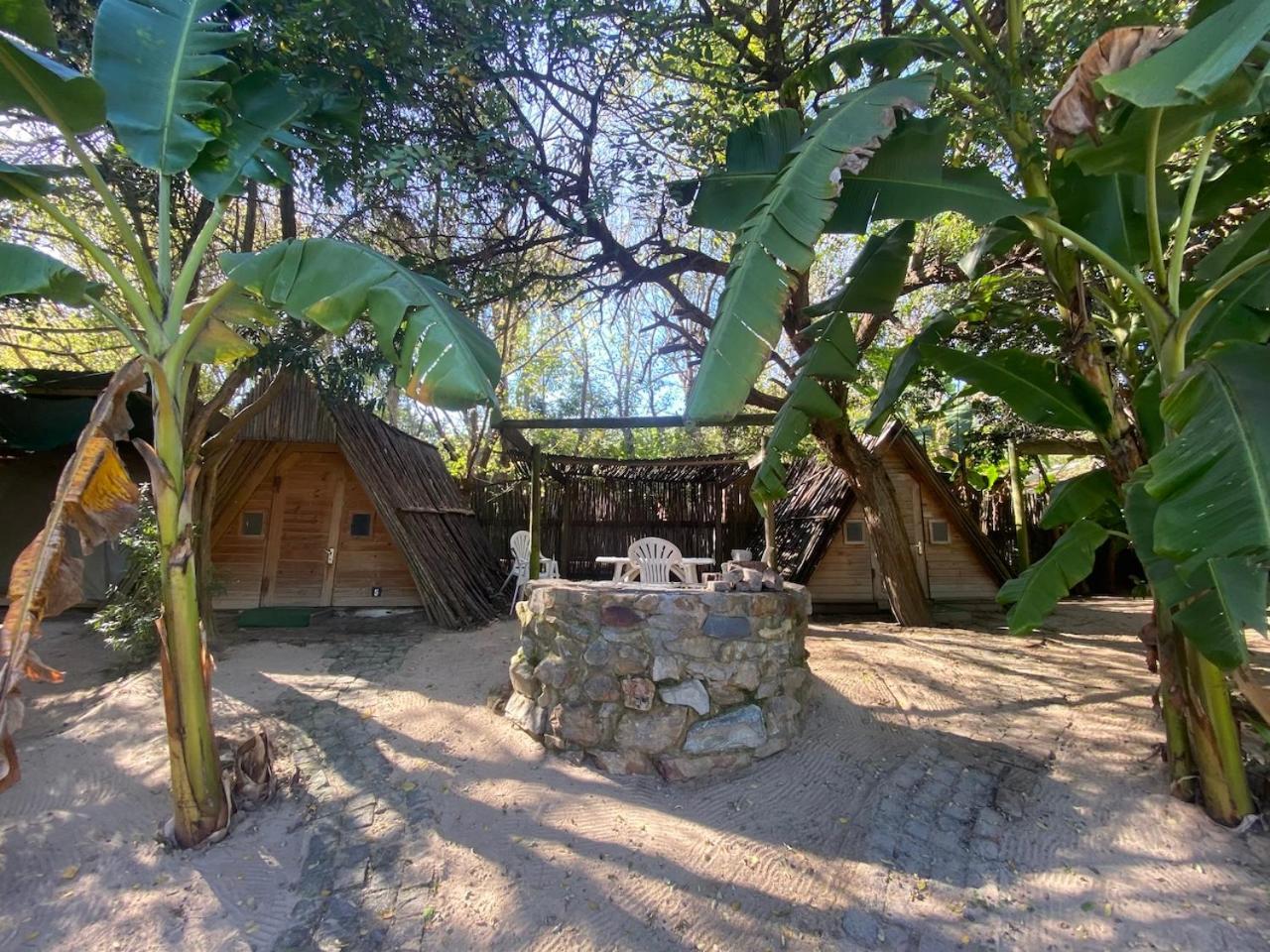 The Riverdeck Accommodation And Backpackers Knysna Exterior foto