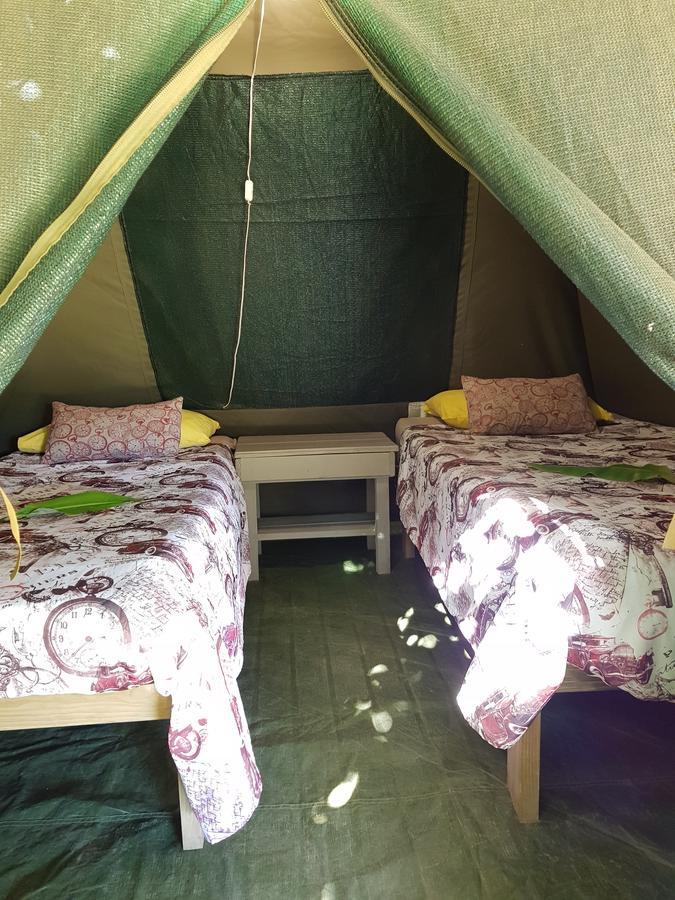 The Riverdeck Accommodation And Backpackers Knysna Exterior foto